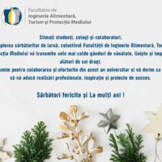 Sărbători Fericite și un An Nou Fericit!