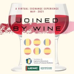 Ramona Lile „A project about wines and their secrets”