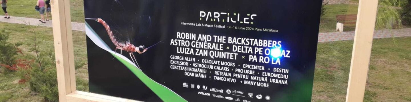 482347381 1117466990181413 1140937811695548567 n