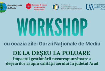 Workshop - de la deșeu la poluare
