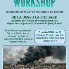 Workshop - De la deșeu la poluare