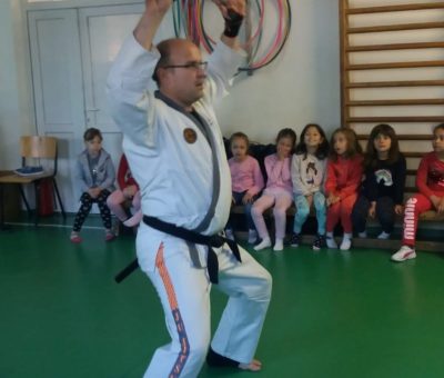 Activităţi diverse sportiv recreative jocuri de mişcare şi demonstraţie de ju jitsu 2